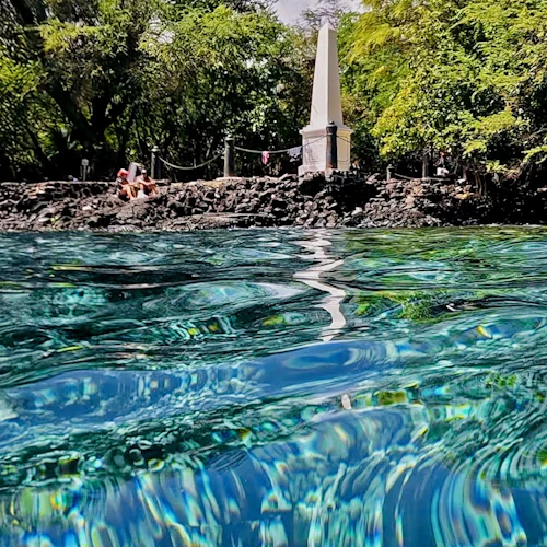 Kealakekua Bay: Ocean Safari Snorkel, Dolphin & Whale Watch - Photo 6