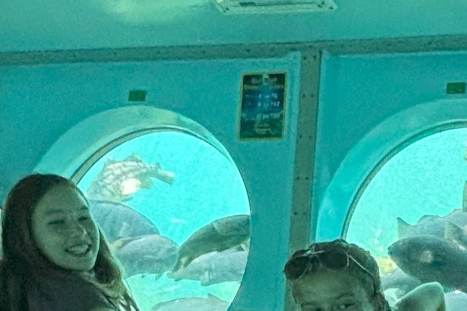People sitting on benches inside an underwater viewing area, looking out windows at fish swimming outside.