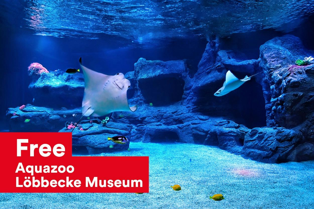 水中の水族館シーンでは、岩のような構造物の近くでエイや魚が泳いでいます。 テキストオーバーレイには「Zoo, Ecke Museum」と書かれています。