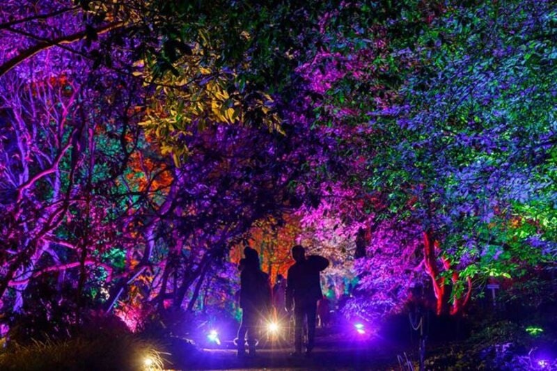 Sonderveranstaltung RHS Glow 2022 in Harlow Carr, RHSGarten Harlow
