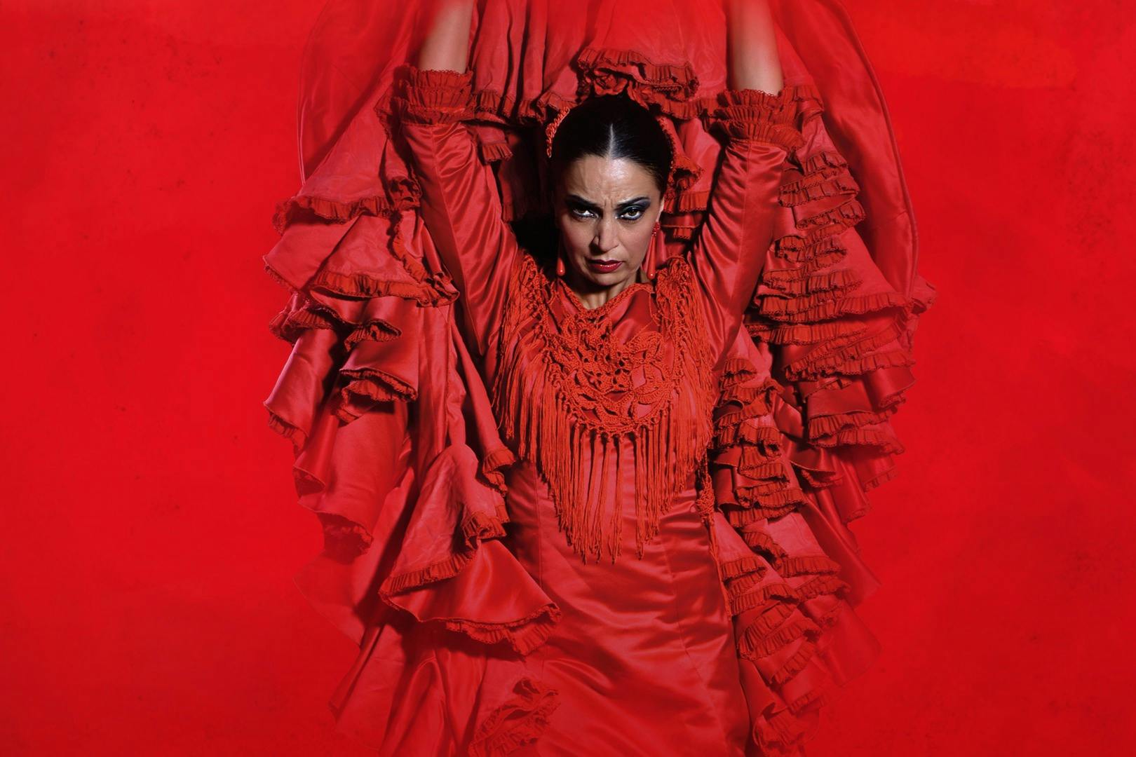 Billets pour spectacle de flamenco au Théâtre Flamenco à Madrid