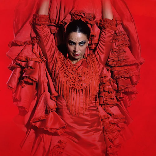 Madrid: Flamenco Show at Teatro Flamenco