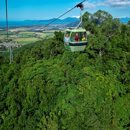 Barron Falls & Cattana Wetlands: from Cairns + Cableway or Scenic Railway Ride - Photo 10