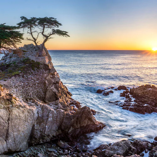 From San Francisco: Full Day Monterey and Carmel Tour - Photo 15