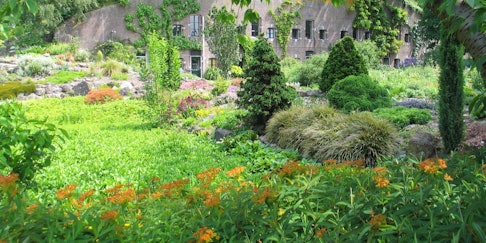 Smell the flowers at the Botanic Gardens