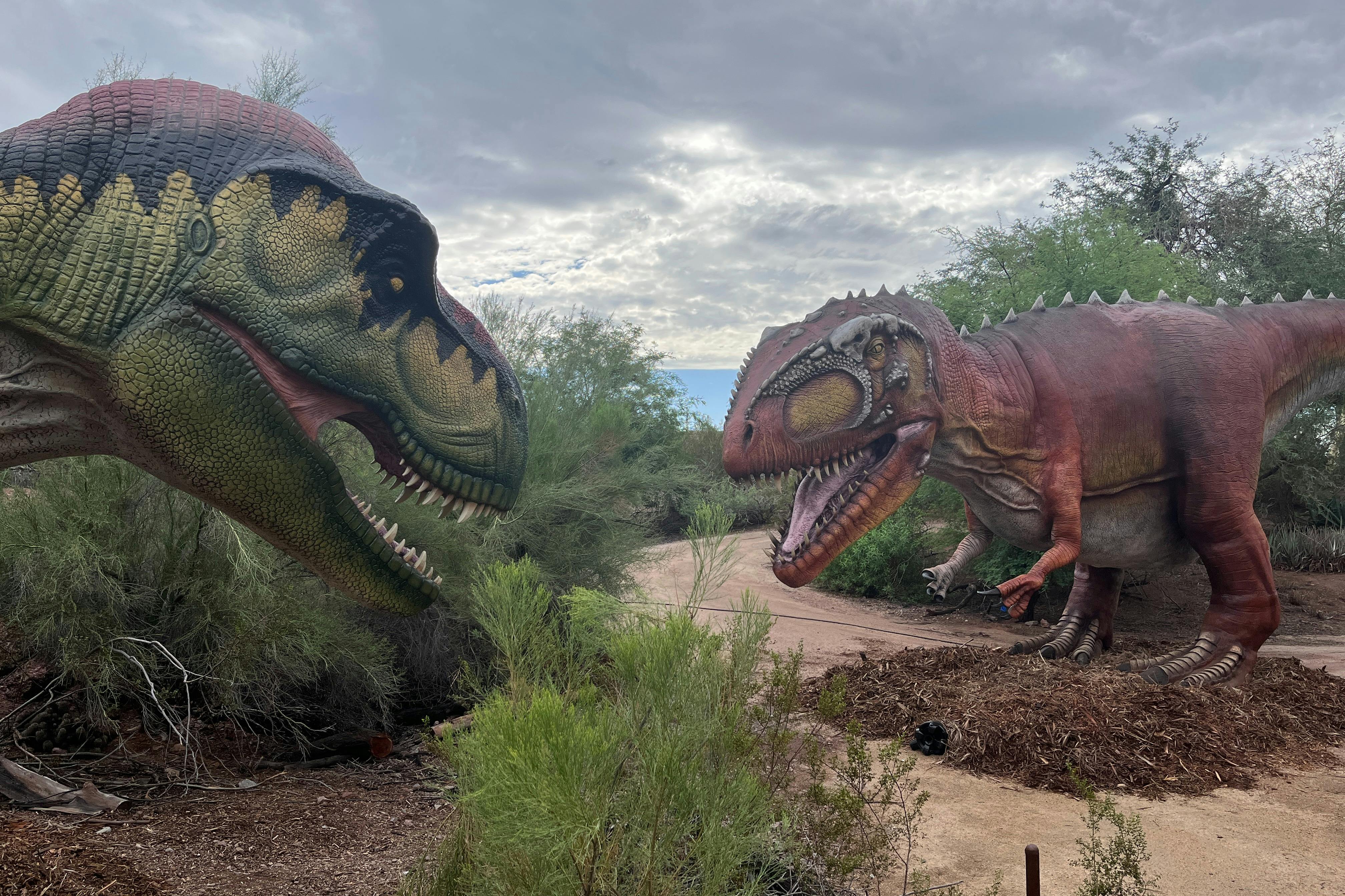 Phoenix Zoo Entry Ticket Tiqets