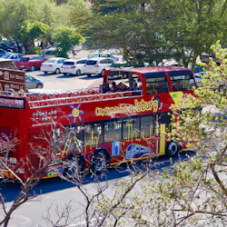 Johannesburg Bus Tours
