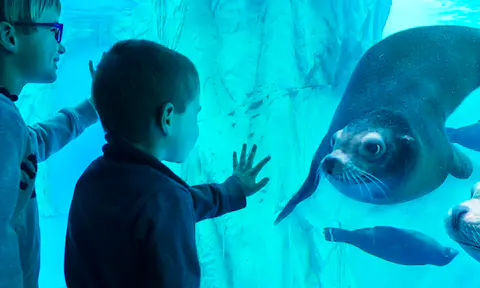 Sea Life Aquarium