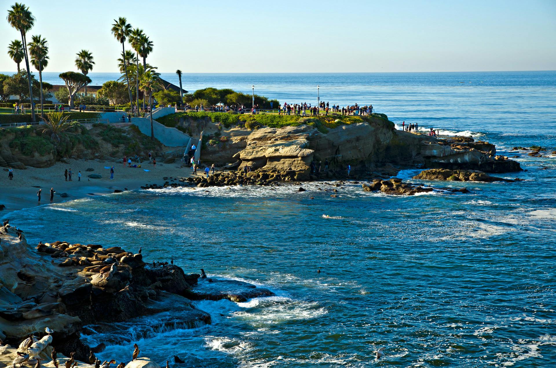 La Jolla Cove in San Diego