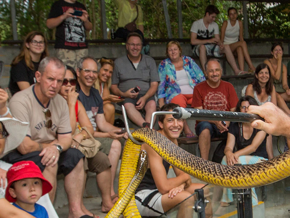 A group of people seated on bleachers watch a person holding a yellow snake in an outdoor setting with lush greenery in the background.