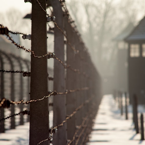 Tour a Auschwitz-Birkenau desde Cracovia: Memorial y Museo + Guía profesional