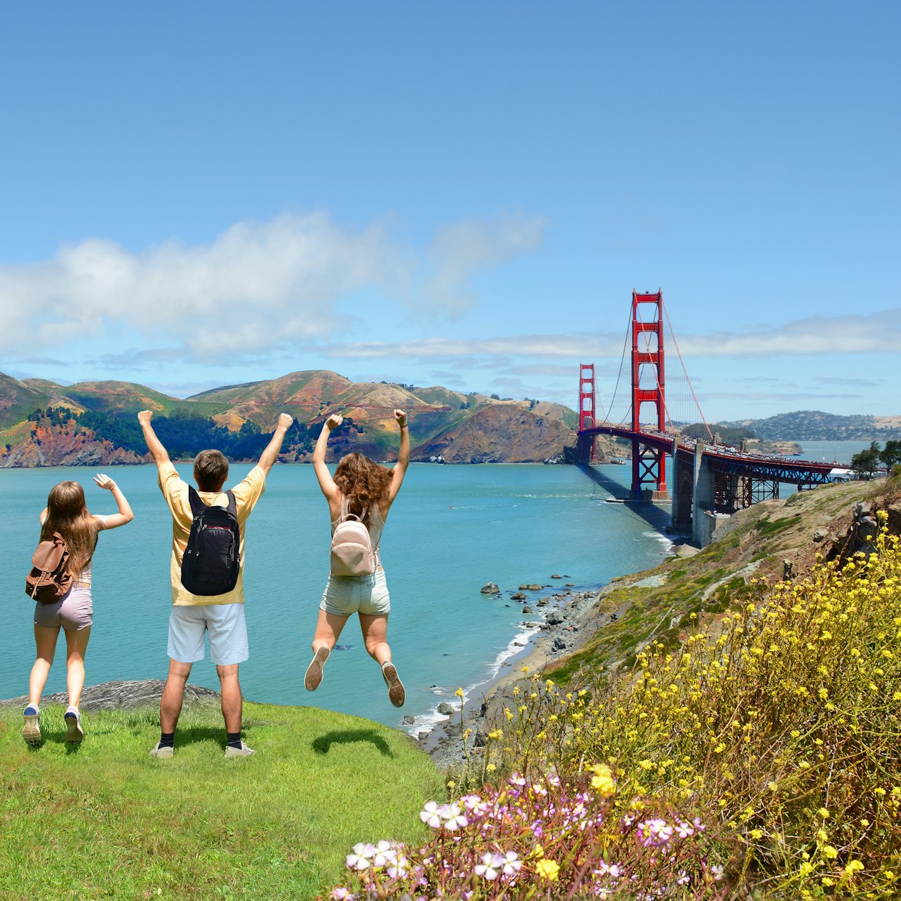 San Francisco: Tour guiado de mañana por la ciudad - Alojamientos en San Francisco