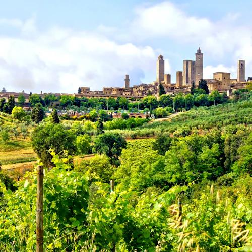 Pisa, Siena e San Gimigniano: Excursão de um dia a partir de Florença + prova de vinhos - Photo 9