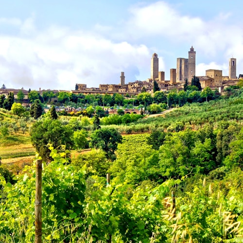 Day Trip From Florence: Pisa, San Gimignano, and Siena with Lunch & Wine Tasting