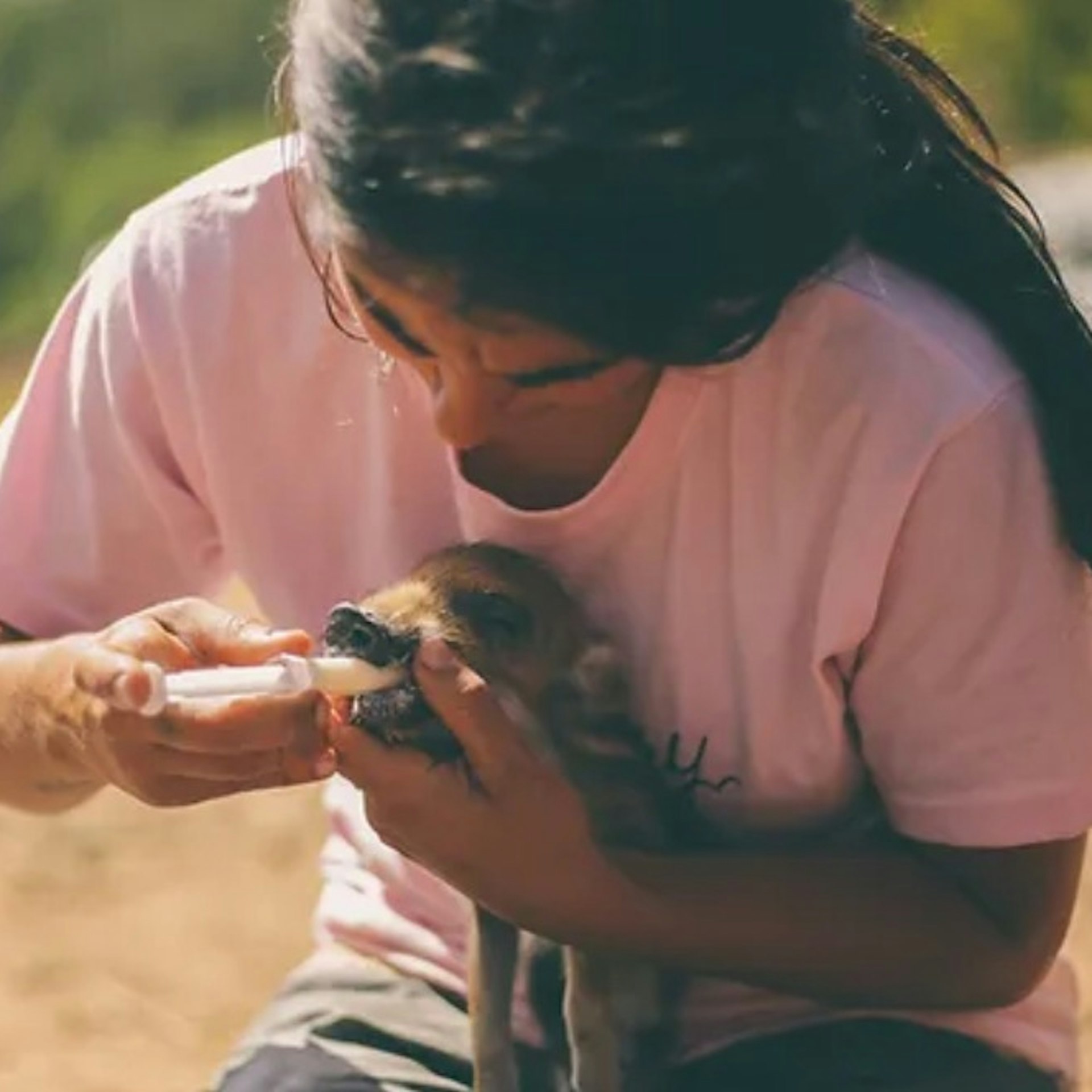 Aguilar de Segarra: Wild Forest Reserve Foundation Tour + Workshop