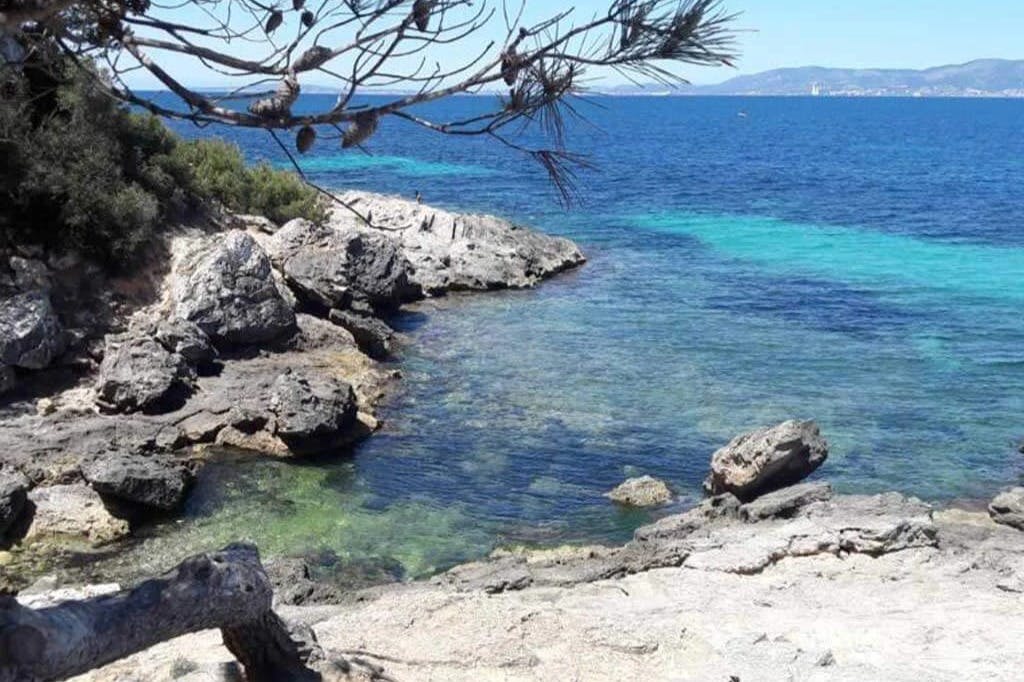 澄んだ青と緑の海が広がる岩だらけの海岸線、前景には枝がまばらな木、地平線には遠くの土地が広がっています。