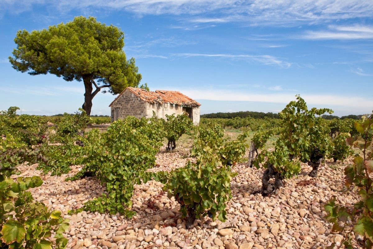 Châteauneuf-du-Pape: Visita guiada de um dia a partir de Aix-en-Provence + Prova de vinhos