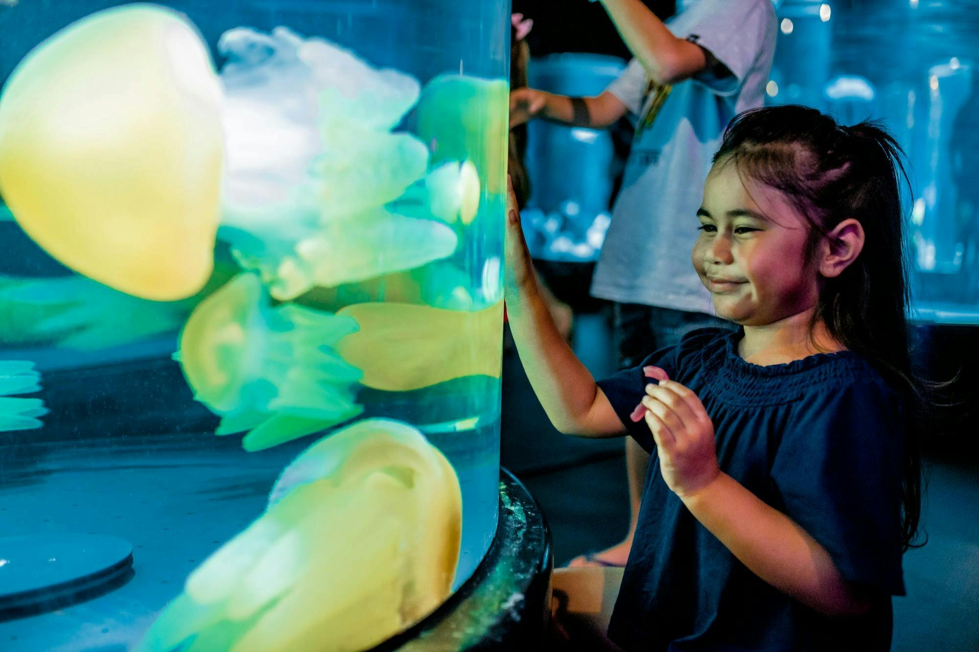 Acquario SEA LIFE Sydney: Biglietto d'ingresso (Prodotto B2B) — 6