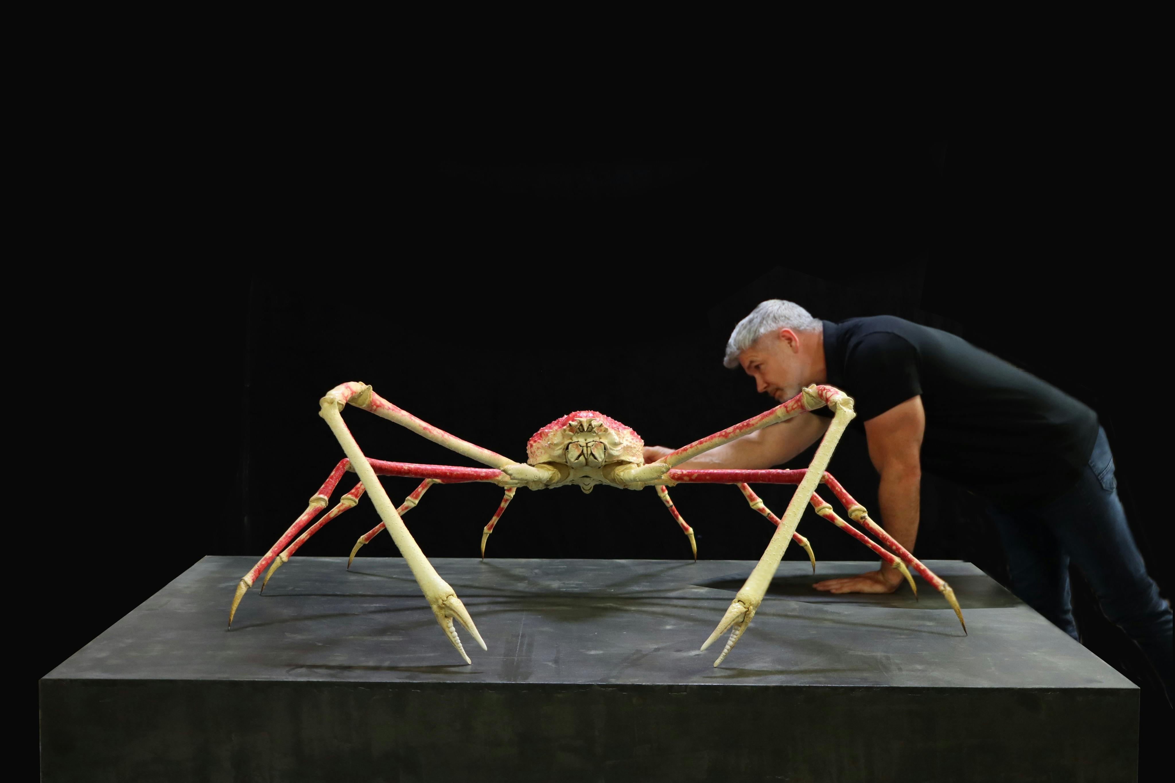 Exquisite Creatures Exhibit: Entry Ticket - Photo 5