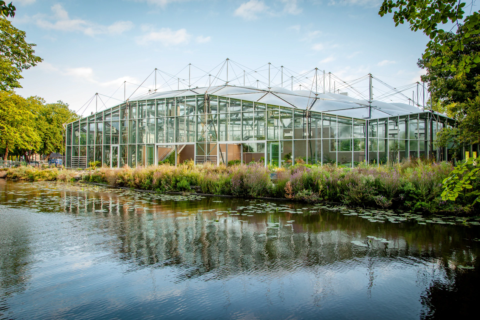 A modern greenhouse with a glass facade surrounded by plants, next to a pond with water lilies under a blue sky.