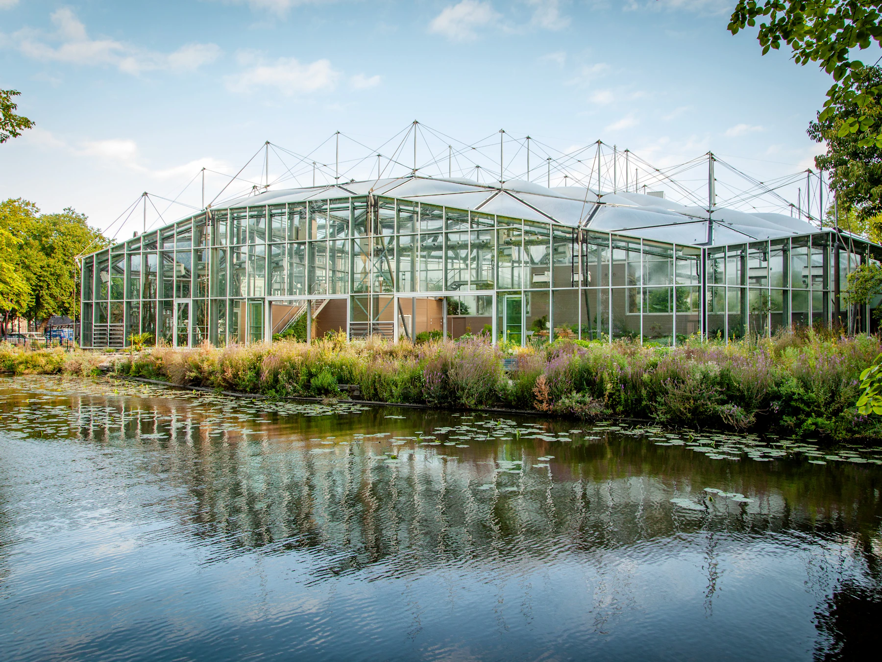 Hortus Botanicus: Eintrittskarte