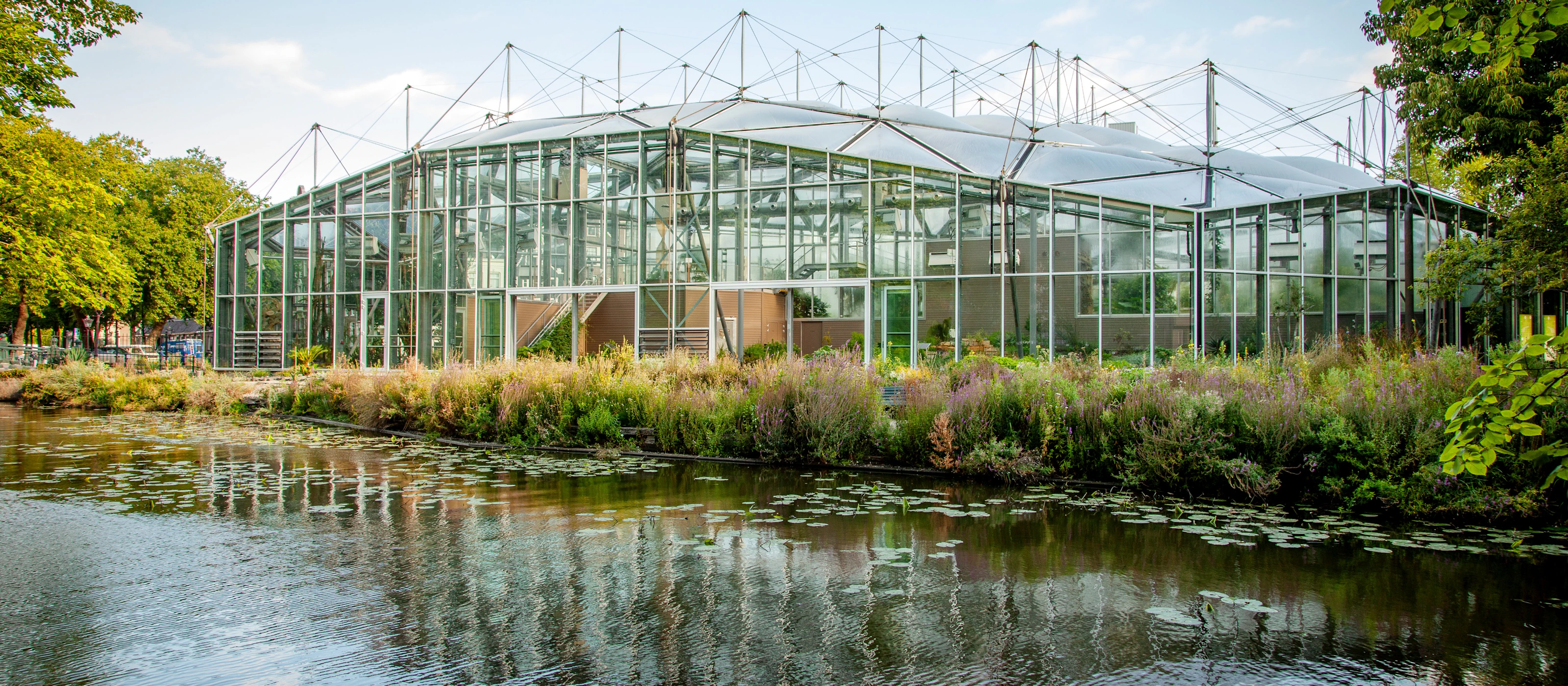Hortus Botanicus: Eintrittskarte