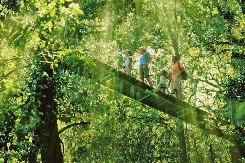Lamington National Park, O'Reilly's & Vineyard: Day Trip from Gold Coast