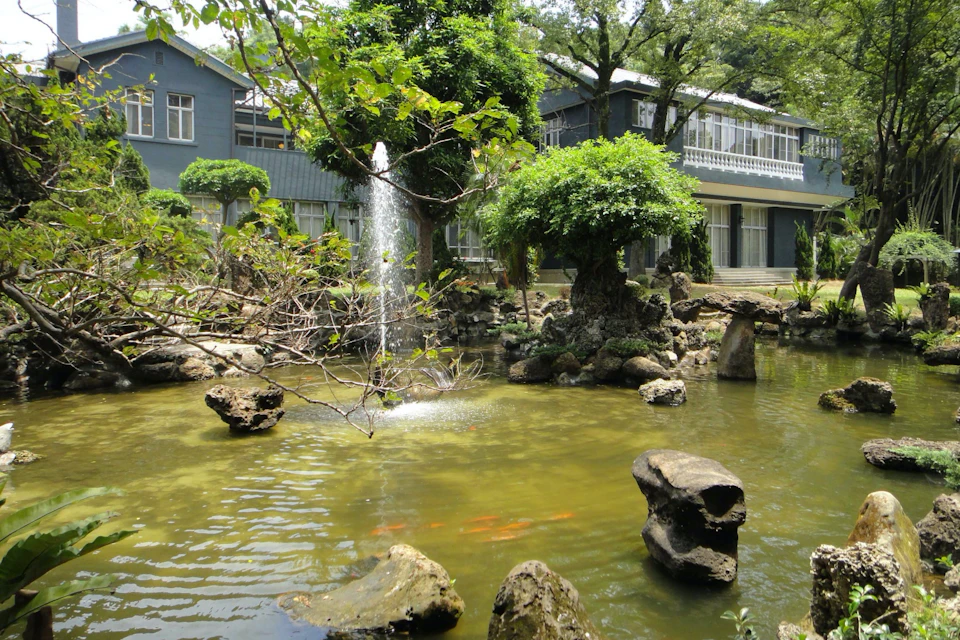 A tranquil garden pond with a fountain, rocks, and koi fish, surrounded by greenery and a blue building in the background.