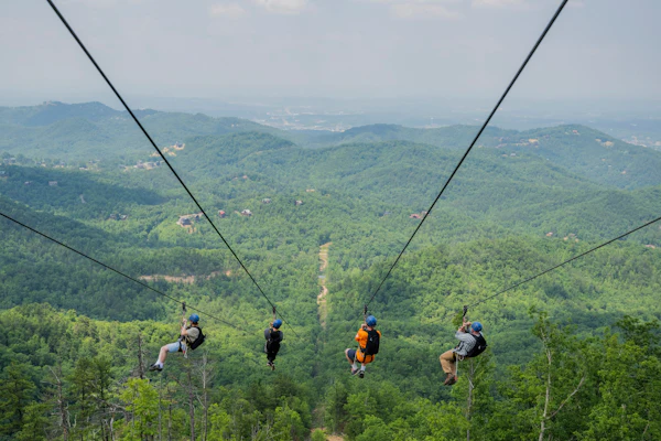 WildSide Adventure Park: Entry + MegaZip Experience | Book Online