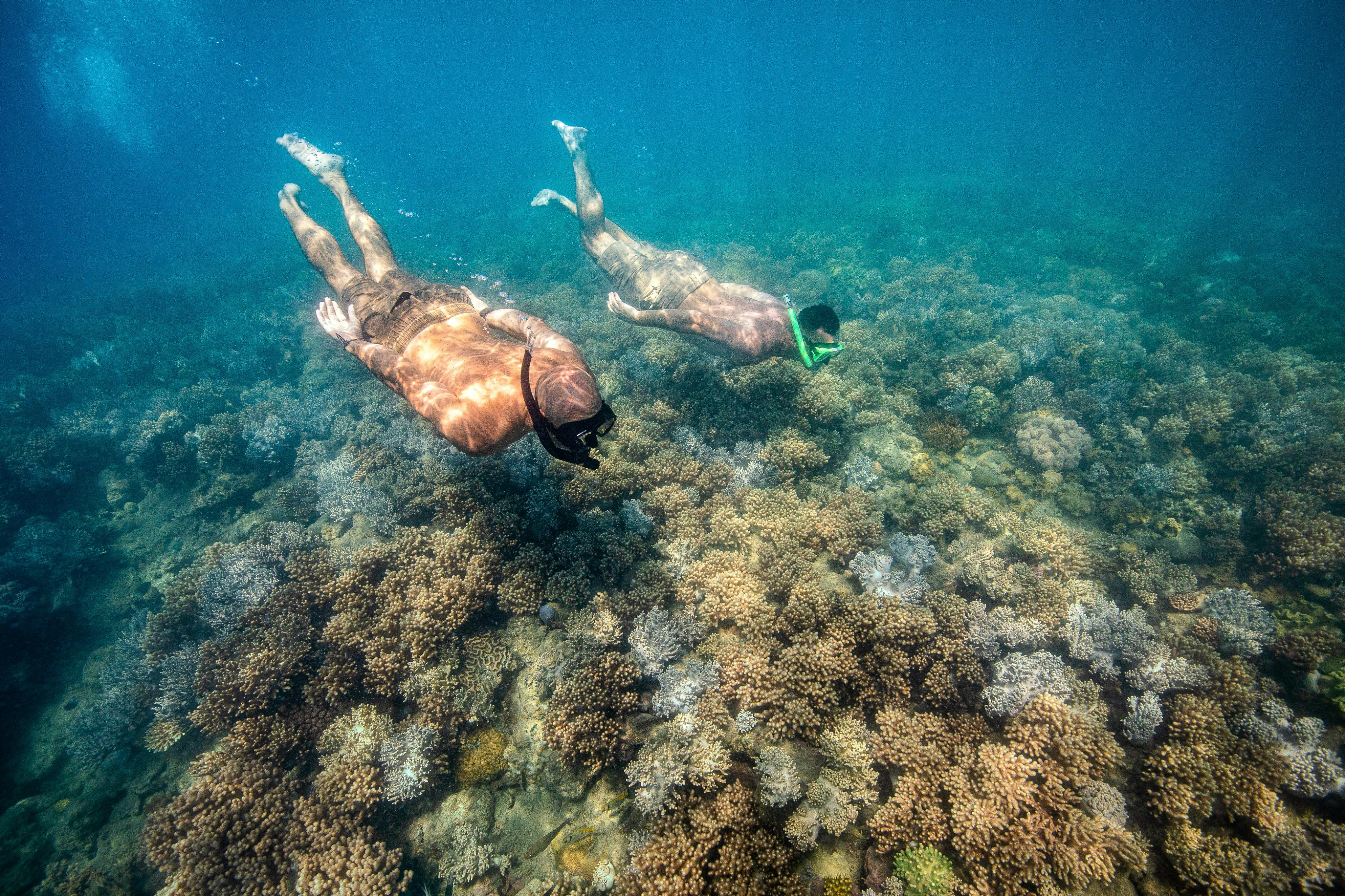 Hoteller i nærheden af Red Cat Adventures - Snorkellers