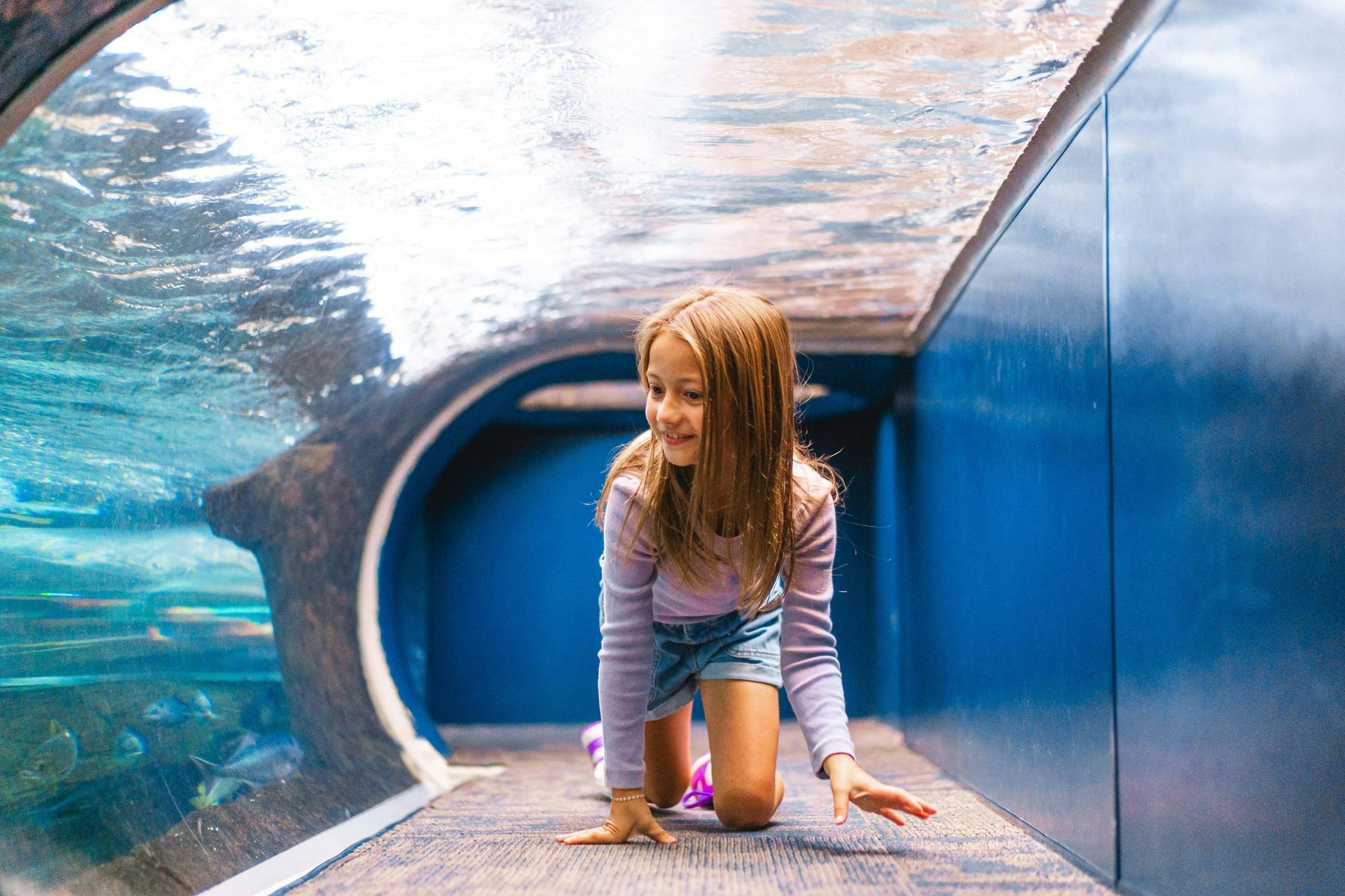 Ripley 's Aquarium of the Smokies