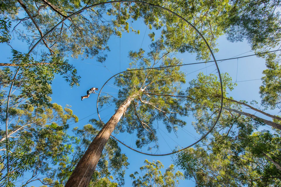 Zipcoaster