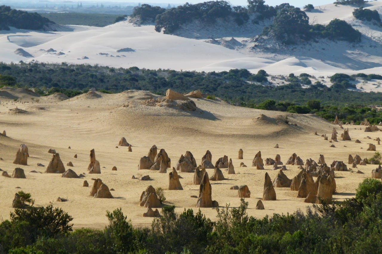 Pinnacles Desert, Yanchep & Swan Valley: Day Tour from Perth + Lunch - Photo 2