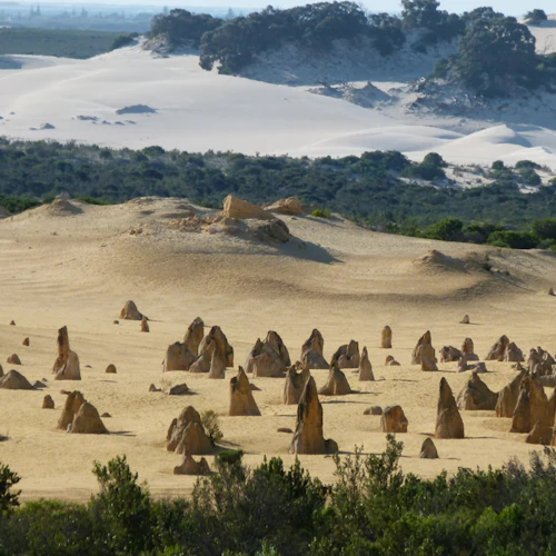 Pinnacles Desert, Yanchep & Swan Valley: Day Tour from Perth + Lunch - Photo 2