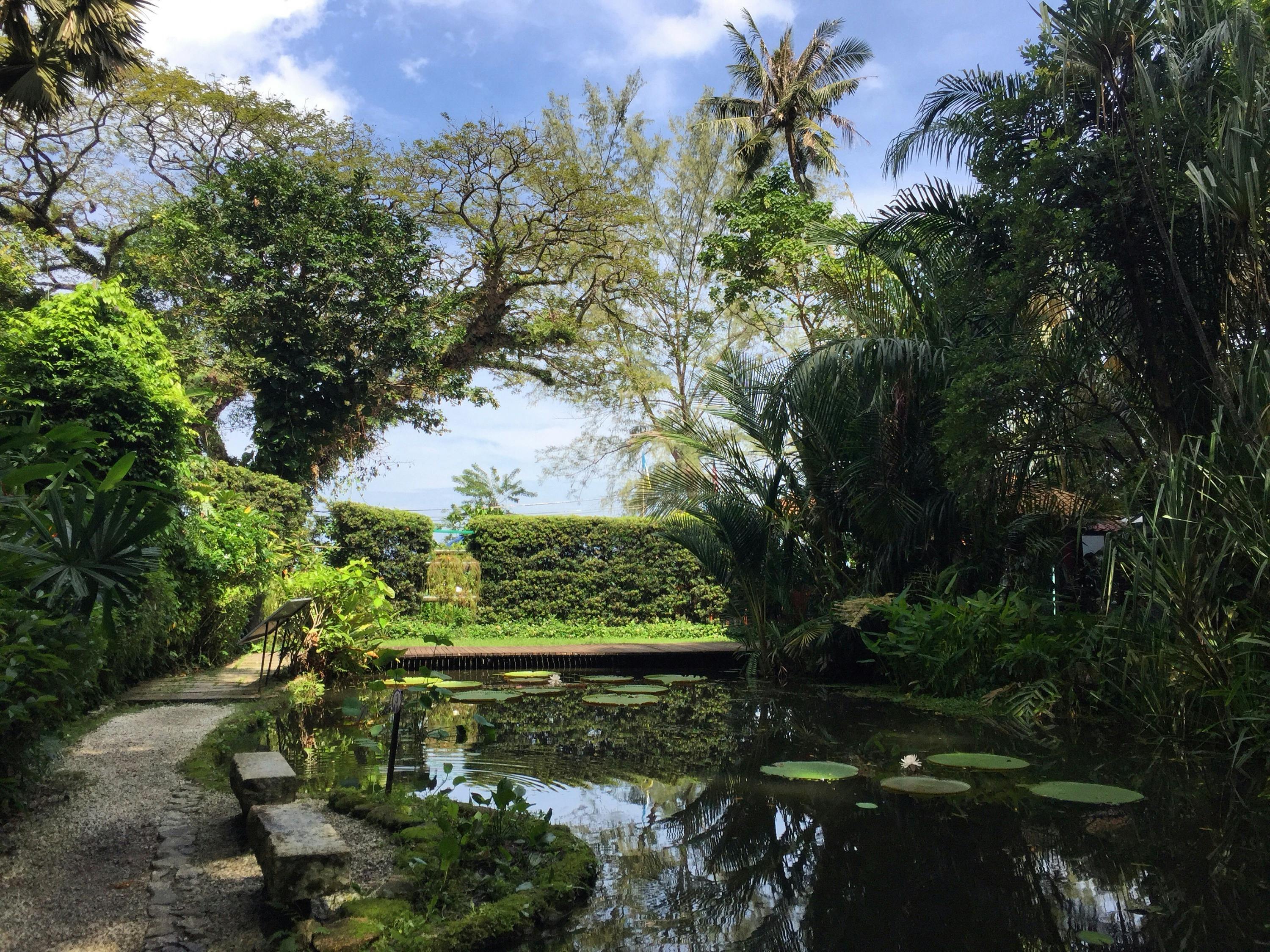 A serene garden scene with a pond, surrounded by lush greenery and trees under a partly cloudy blue sky.