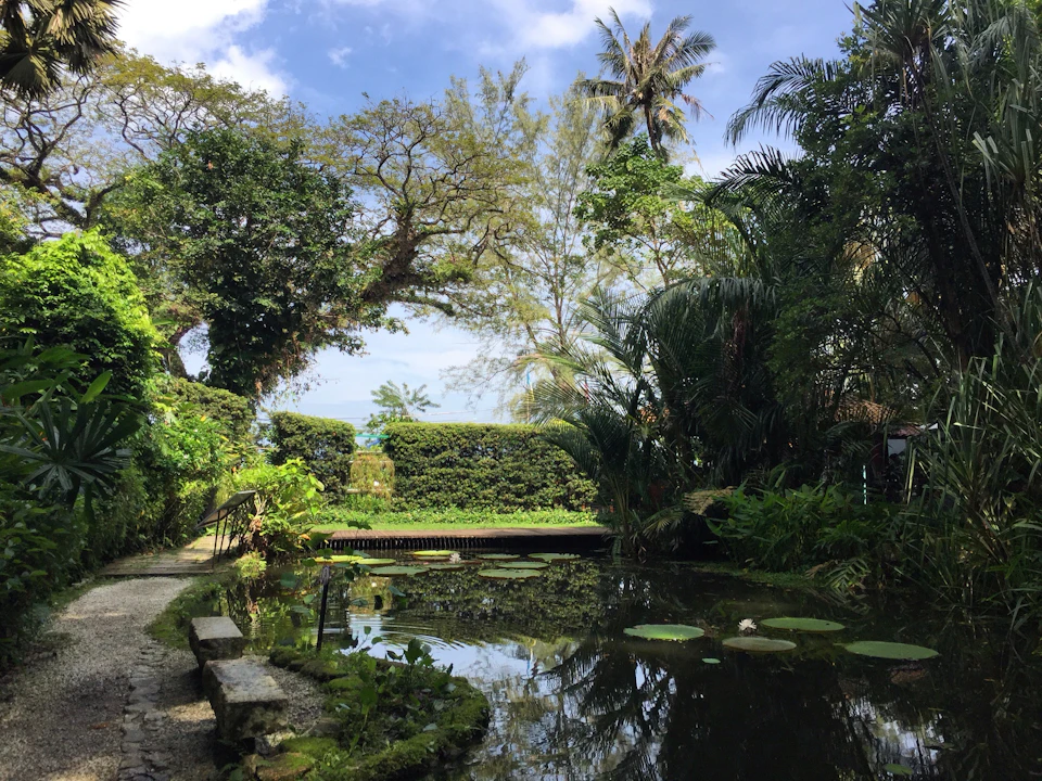 A serene garden scene with a pond, surrounded by lush greenery and trees under a partly cloudy blue sky.