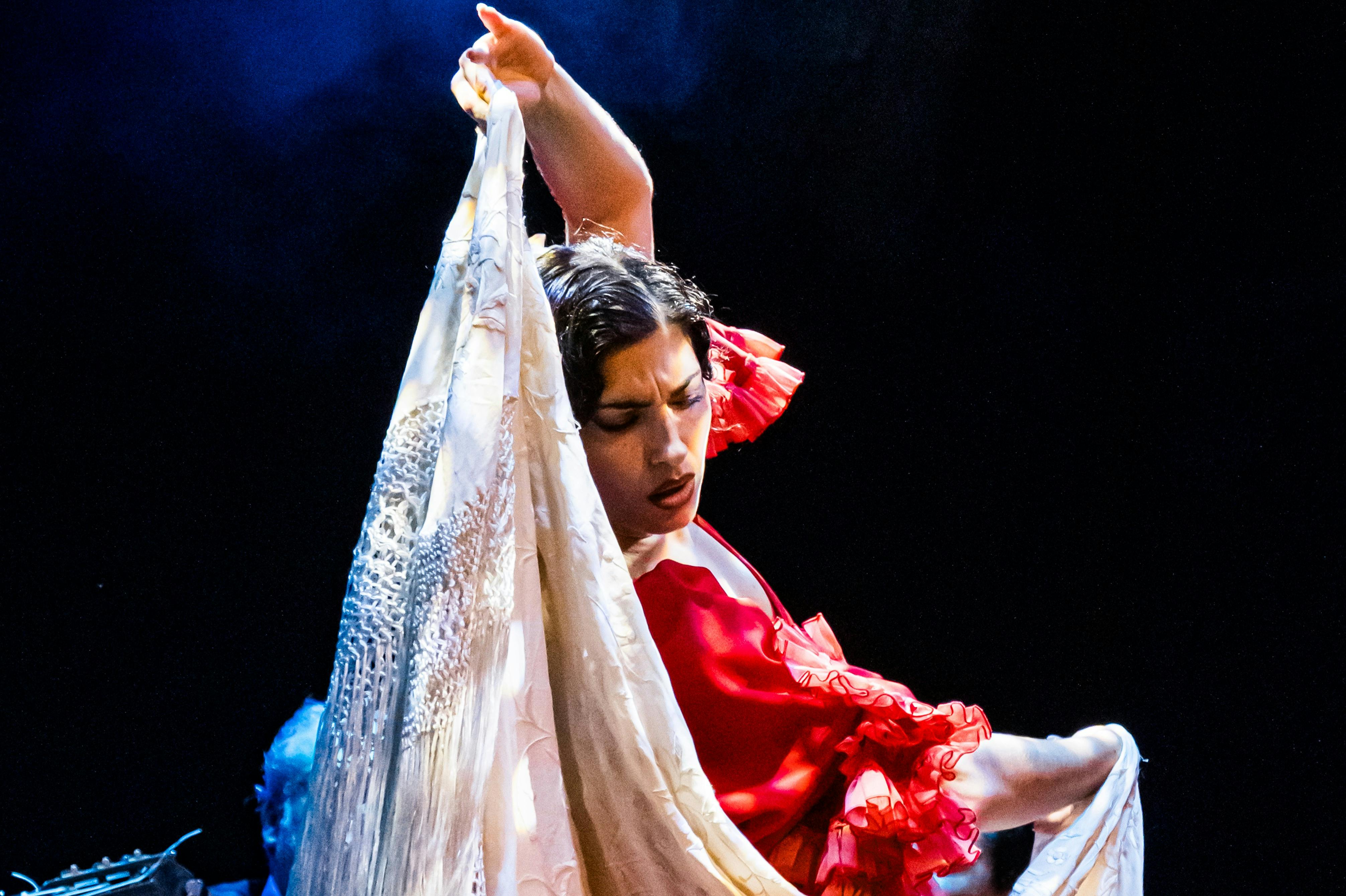 フラメンコダンサーとショール