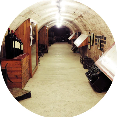 Musée du Vin et du Négoce: bilhete de entrada - Photo 2