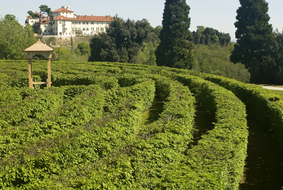 Green hedge maze with a large white villa in the background, surrounded by trees and foliage.