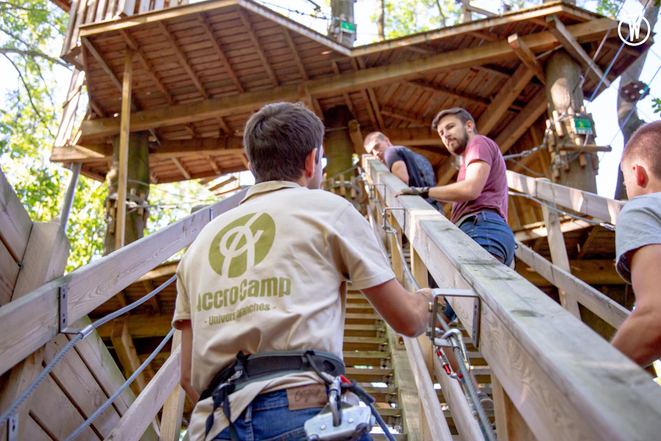 Four people wearing harnesses climb a wooden staircase to a platform in a tree-top adventure park.