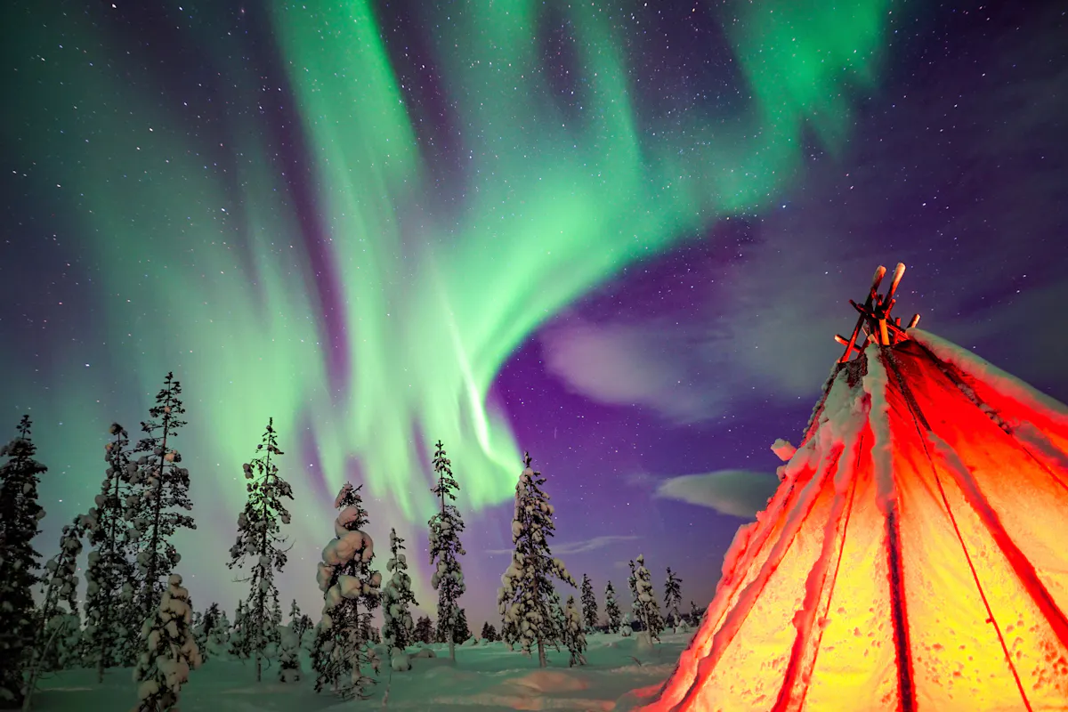 Aurores Boréales à Rovaniemi : Excursion en Nature + Appareil Photo Professionnel