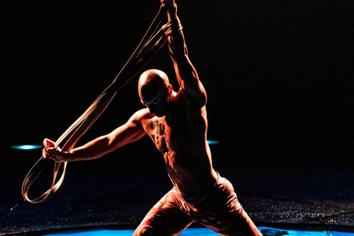 Cirque du Soleil LUZIA Miami: bilhete de entrada - Photo 5