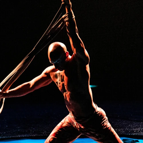 Cirque du Soleil LUZIA Miami: bilhete de entrada - Photo 5