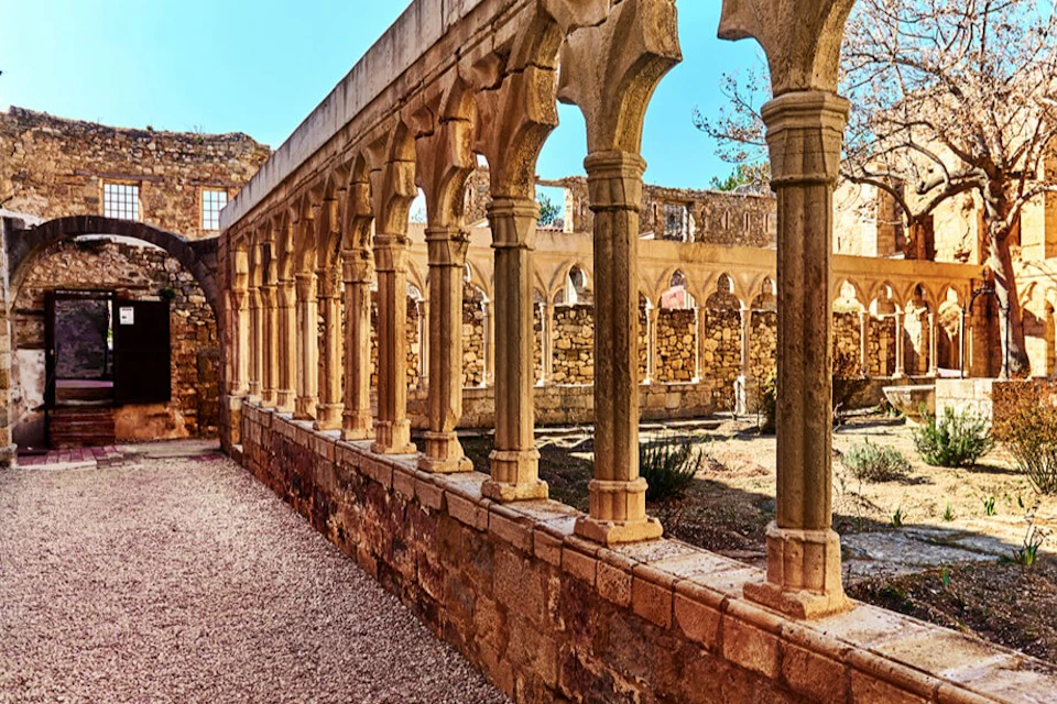 morella