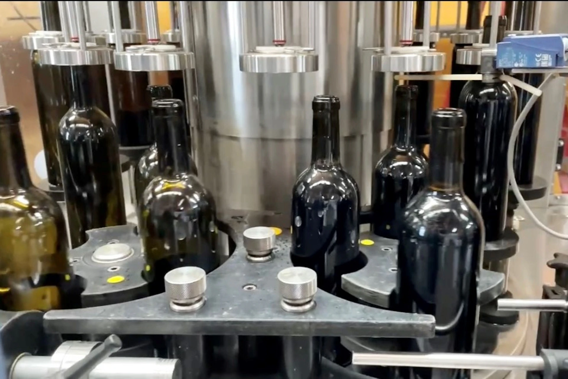Bottling machine at Reif Estate Winery
