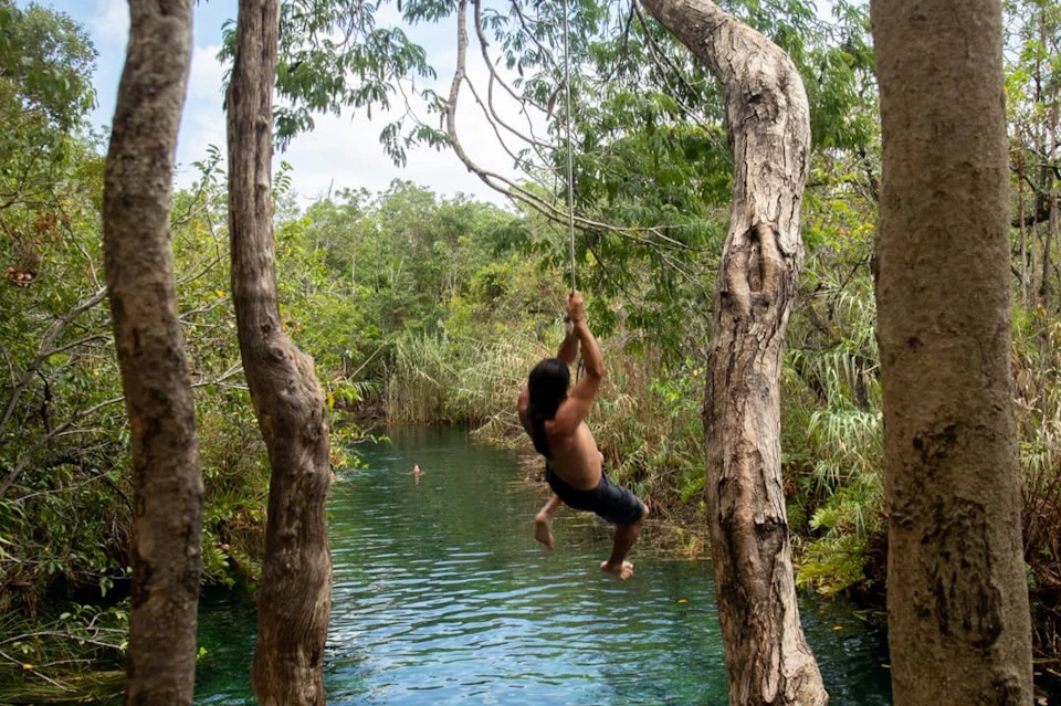 Open cenote dive