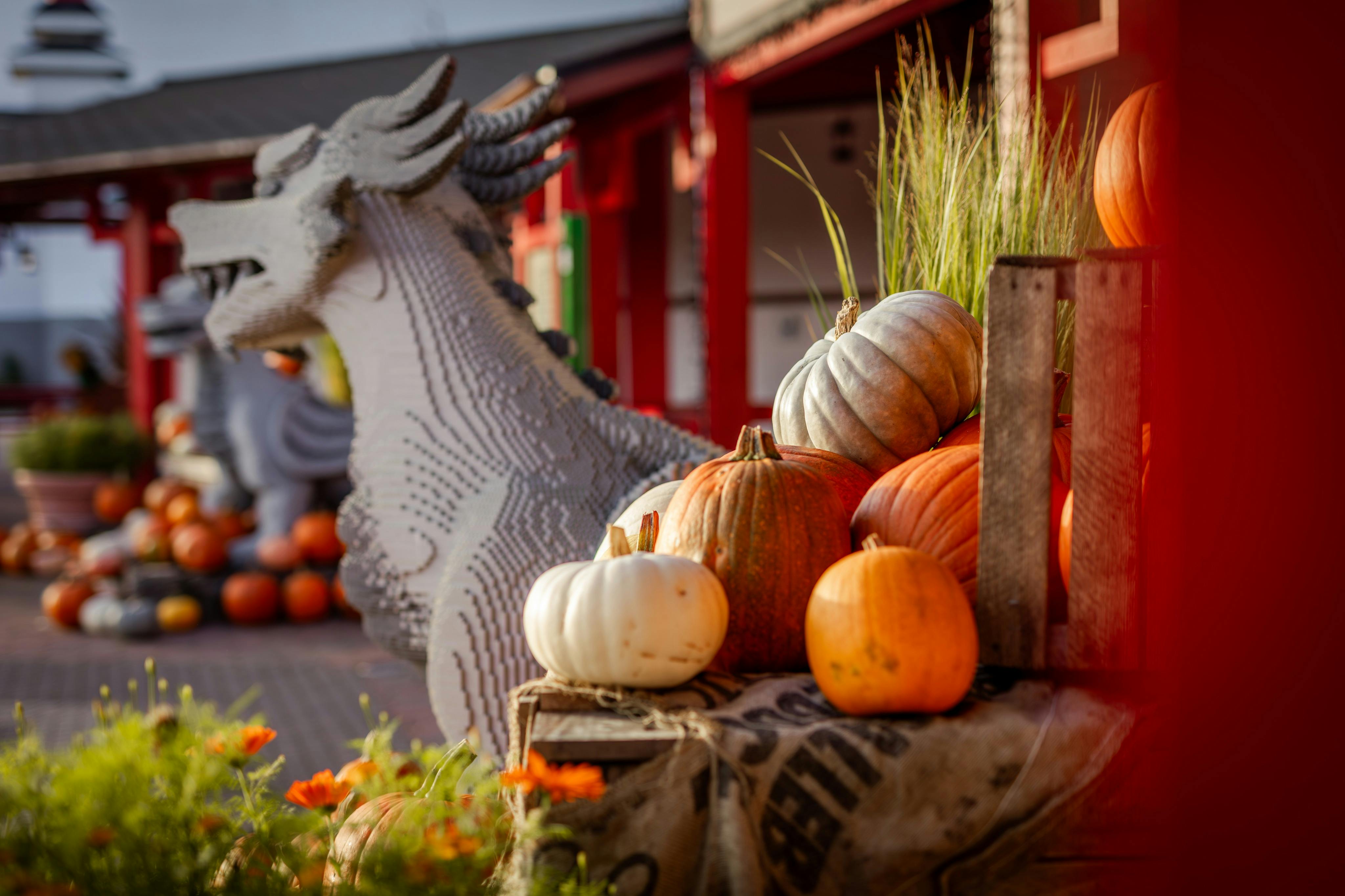 LEGOLAND® Billund Resort: 2-Day Ticket with All Rides Access 2