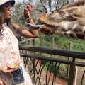 Alimentando a una jirafa en el centro de jirafas.