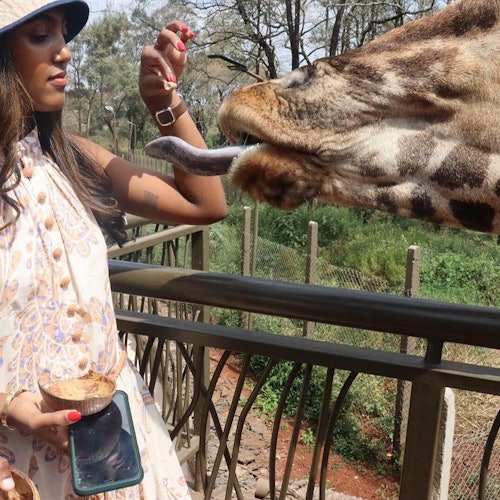 Nairobi: Elephant Orphanage, Giraffe Center + Kazuri Bead Factory Day Tour