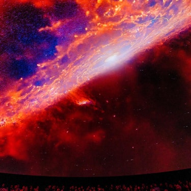 Biljetter till alla utställningar på American Museum of Natural History i New York